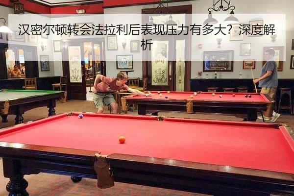 han-mi-er-dun-zhuan-hui-fa-la-li-hou-biao-xian-ya-li-you-duo-da-shen-du-jie-xi-2-594.jpg