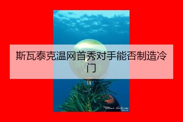 si-wa-tai-ke-wen-wang-shou-xiu-dui-shou-neng-fou-zhi-zao-leng-men-2-516.jpg